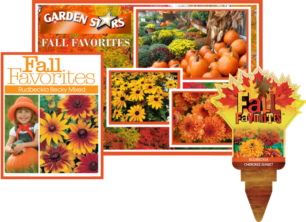 fall