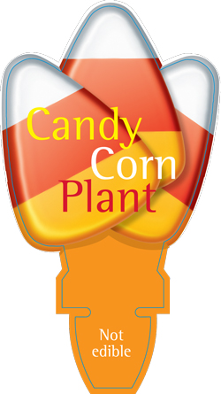 candycorrn