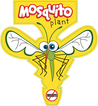mosquito