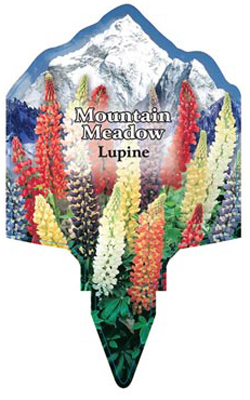 mount