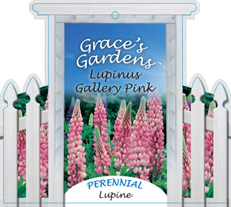grace