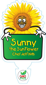 sunny