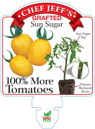 15Graftedsunsugar
