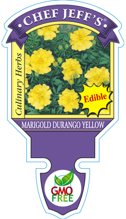 marigold